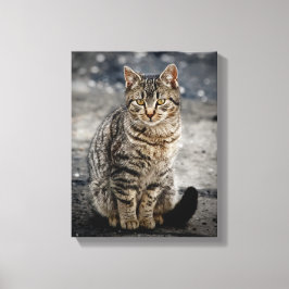 Impressão Em Tela Retrato de um gato