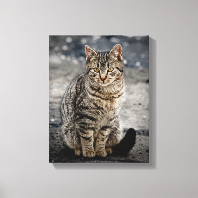 Impressão Em Tela Retrato de um gato (Frente)