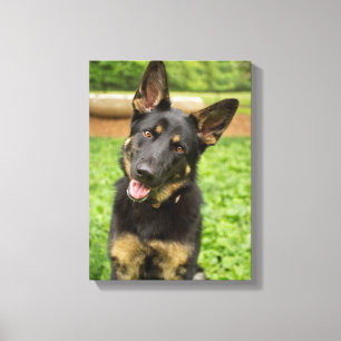 Impressão Em Tela Retrato de um German shepherd