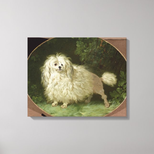 Impressão Em Tela Retrato de um Poodle (Frente)