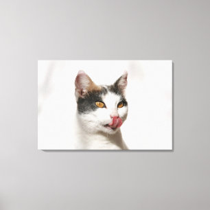 Impressão Em Tela Retrato de uma lambedura branca do gato