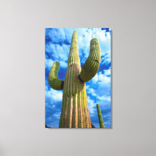 Impressão Em Tela Retrato do cacto Saguaro, Arizona