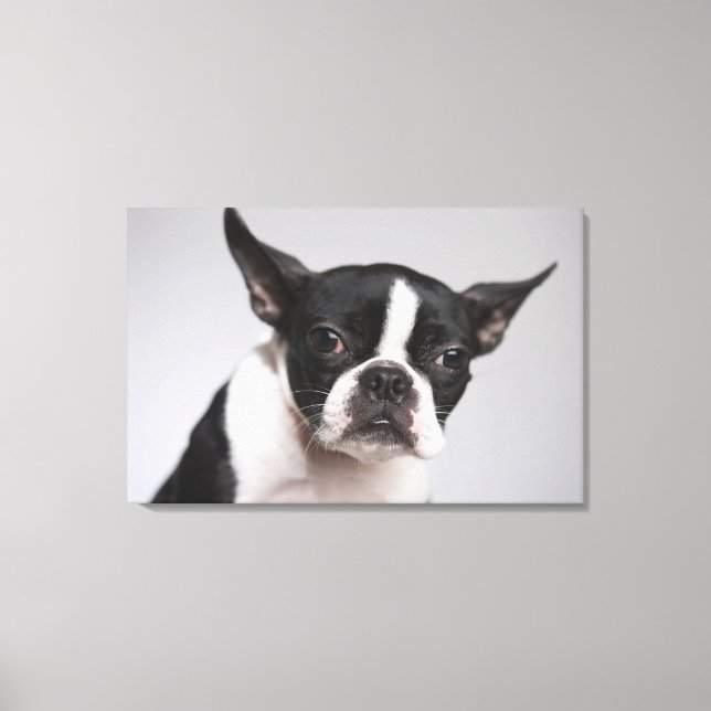 Impressão Em Tela Retrato do cão (Frente)