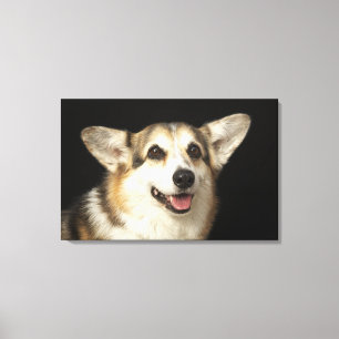 Impressão Em Tela Retrato do Corgi preto, marrom e branco