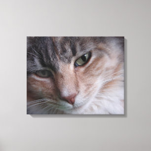Impressão Em Tela Retrato do gato