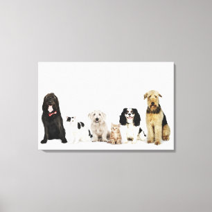 Impressão Em Tela Retrato dos gatos e dos cães que sentam-se junto