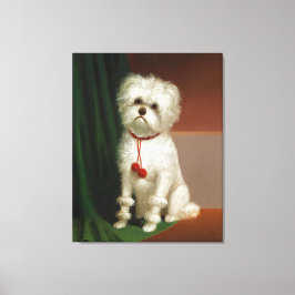 Impressão Em Tela Retrato Vintage De Um Cachorro Branco