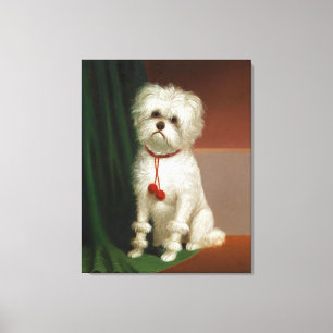 Impressão Em Tela Retrato Vintage De Um Cachorro Branco