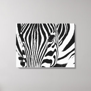 Impressão Em Tela Retrato zebra preto e branco