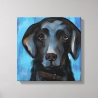 Retriever Labrador 