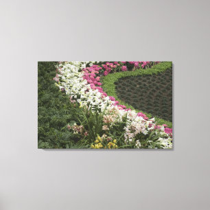 Impressão Em Tela Rhododendron (Rhododendron catawbiense) Heath