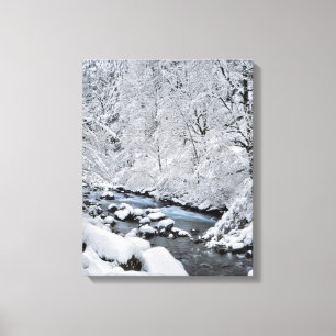 Impressão Em Tela Ribeirão branco nevado cênico, Oregon