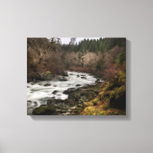 Impressão Em Tela Rio Lazy