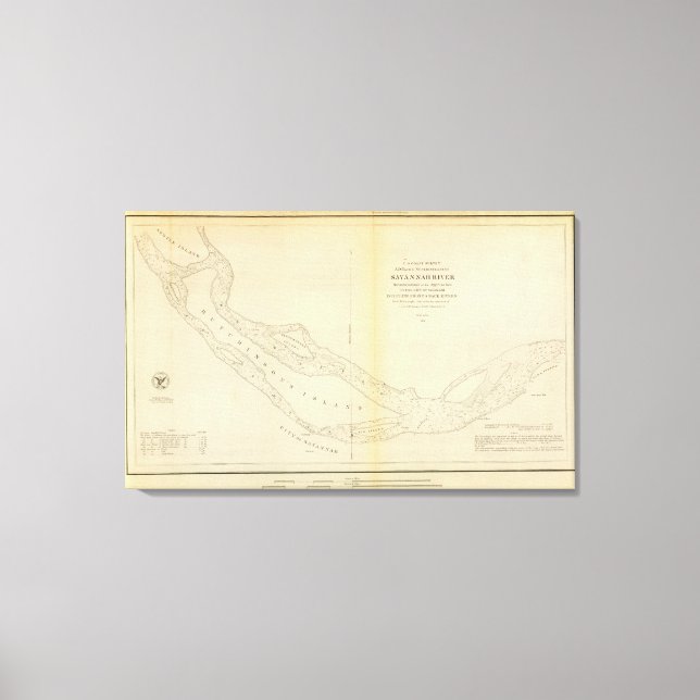 Impressão Em Tela Rio Savannah (Frente)