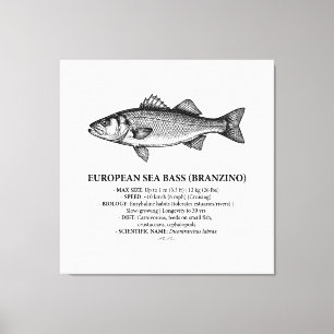 Impressão Em Tela Robalo Branzino Vintage 
