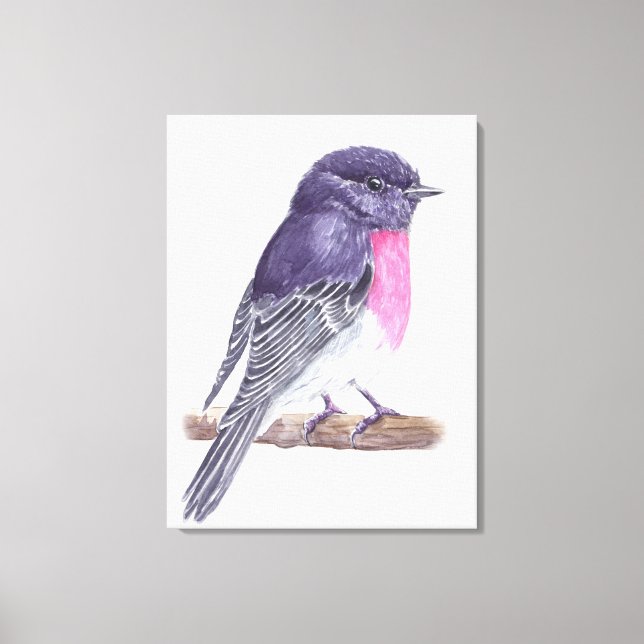 Impressão Em Tela Robin (Frente)