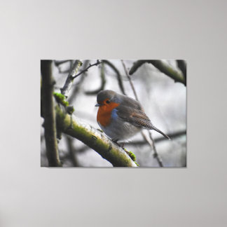 Impressão Em Tela Robin 