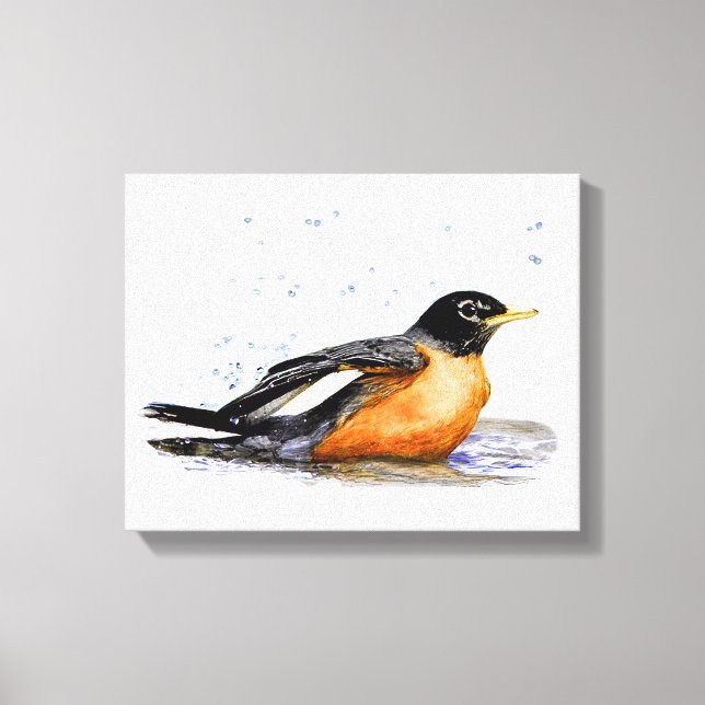 Impressão Em Tela Robin Bathing (Frente)