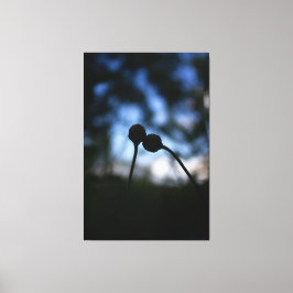 Impressão Em Tela Romantic Flowers – Botanical Fantasy Boho