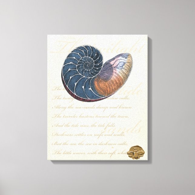 Impressão Em Tela Romantic Seashell (Frente)