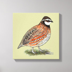 Impressão Em Tela Rooster Bobwhite Quail