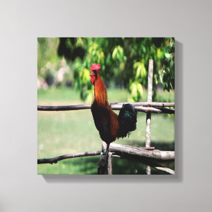 Impressão Em Tela Rooster Morning