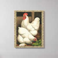 Roosters & Hen fora da Hen House com Borda Branca