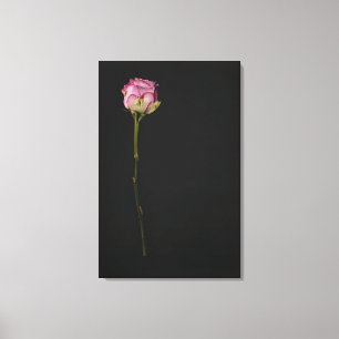 Impressão Em Tela Rosa 3 do rosa