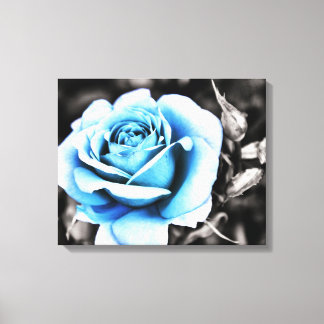Impressão Em Tela rosa azul