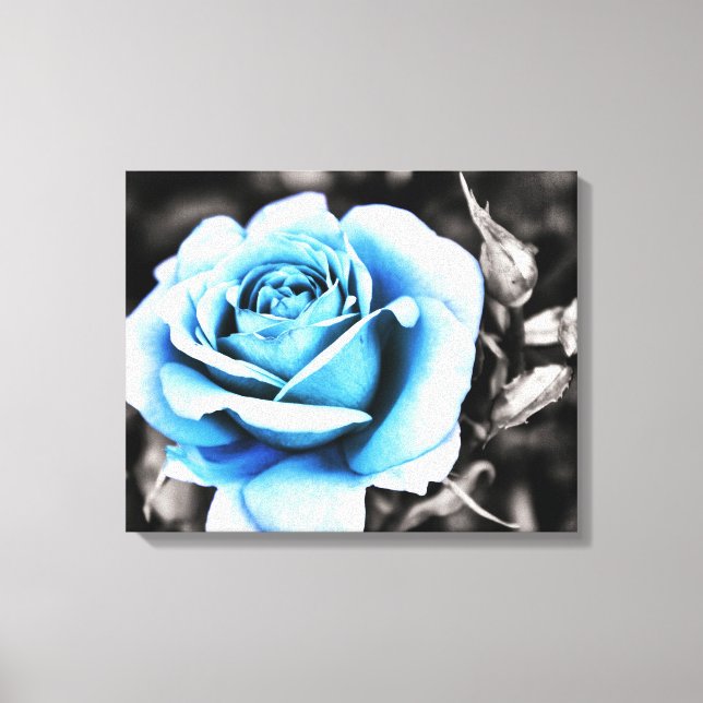 Impressão Em Tela rosa azul (Frente)