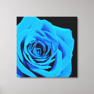 Impressão Em Tela Rosa bonito do azul