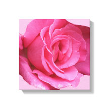 rosa bonito rosa moderna mimimista floral belo art