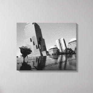 Impressão Em Tela Rosa branca da memória