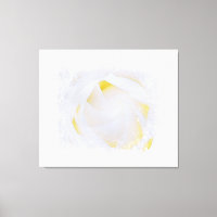 *~* Rosa Branco Macro Floral Abstrato Grunge AR8