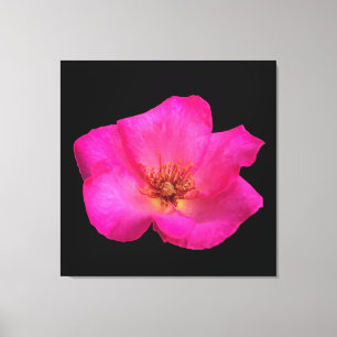 Impressão Em Tela Rosa Caneta Hidrográfica