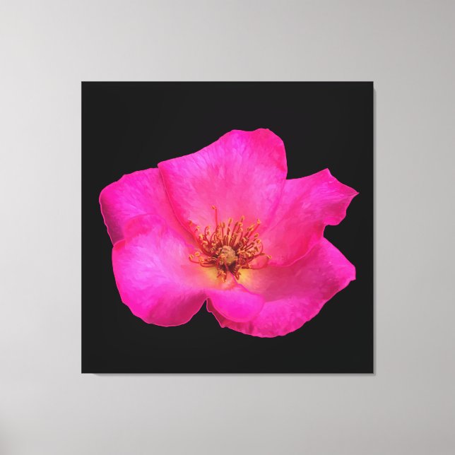 Impressão Em Tela Rosa Caneta Hidrográfica (Frente)