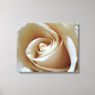Impressão Em Tela Rosa de Casamento Branco Suave