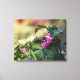 Impressão Em Tela Rosa De Sharon E Visitante