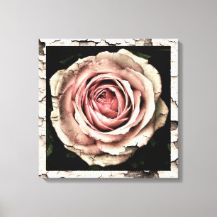 Impressão Em Tela Rosa de Vintage