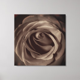 Impressão Em Tela Rosa de Vintage