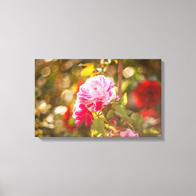 Impressão Em Tela Rosa e rosas vermelhas (Frente)