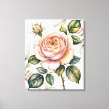 Rosa inglesa em aquarela