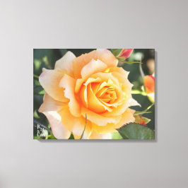 Impressão Em Tela Rosa‘Manyo’(万葉)