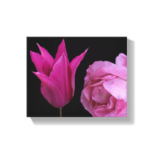 Rosa rosa bonito e flor de tulipa floral moderna