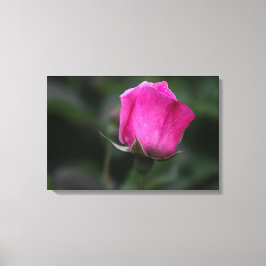 Impressão em tela Rosa Rosa Elegante