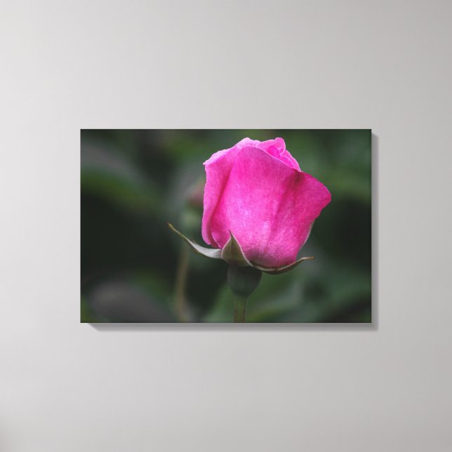 Impressão em tela Rosa Rosa Elegante (Frente)