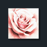 Impressão Em Tela Rosa Rosa Rosa<br><div class="desc">Rosa Rosa Rosa Rosa Rosa I de Grace Popp. Possui um rosa de perto em uma bela paleta muda.</div>