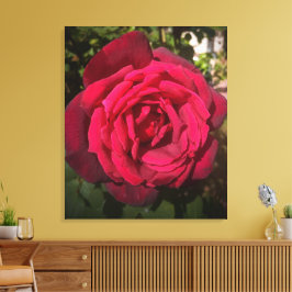 Impressão Em Tela Rosa Vermelha