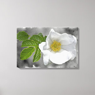 Impressão Em Tela Rosa Wildflower White Beach
