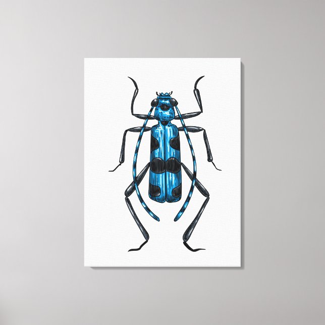 Impressão Em Tela Rosalia Alpina beetle (Frente)